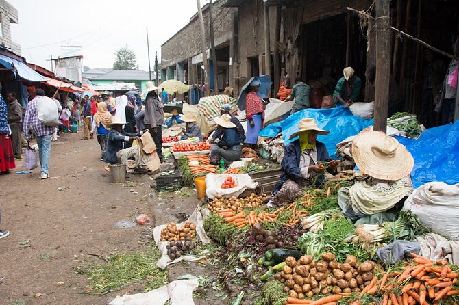Addis Ababa City Tours Full Day With Hotel Pickup And Drop Off. - Accessibility Features