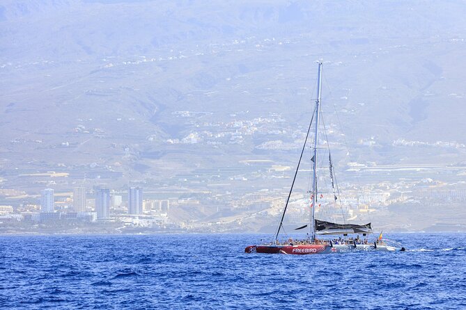 Adults Only Tenerife Freebird Catamaran Review - Onboard Experience
