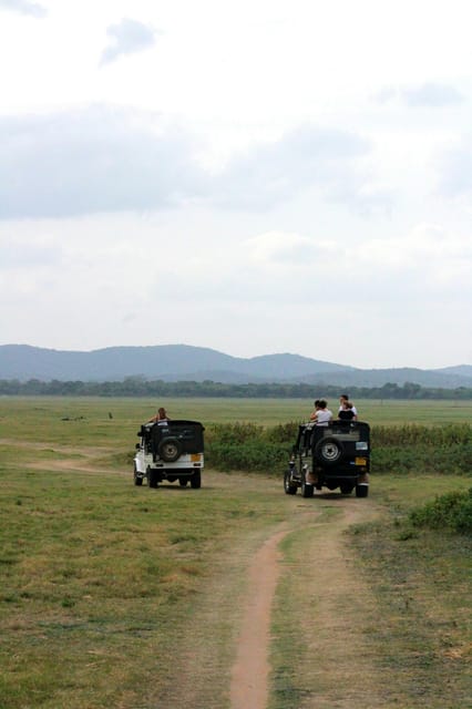 Adventure Odyssey in Sri Lanka - Accommodation and Meals