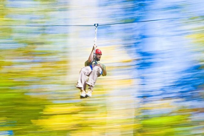 Adventureworks Ziplines at Nashville West - Reviews and Guest Feedback