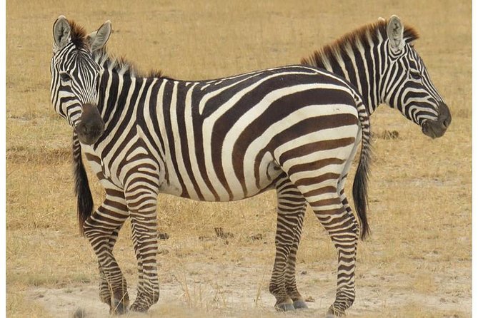 African Wildlife & Nature - 5 Kenya National Parks - 6 Day Jeep Safari - Amboseli National Park Adventures