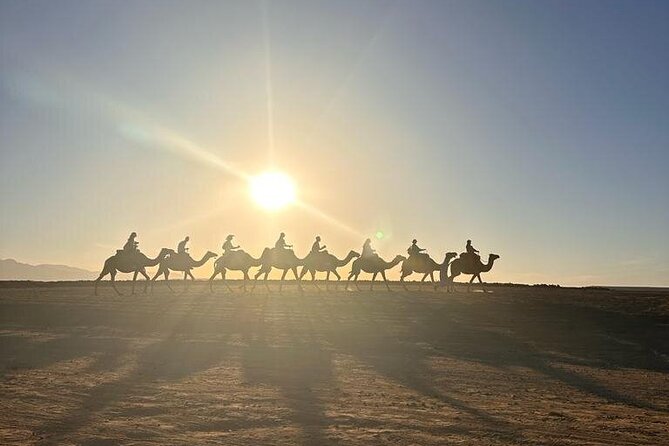 Agafay Desert: Quad Bike & Camel Ride & Magical Diner With Show - Magical Dinner Experience