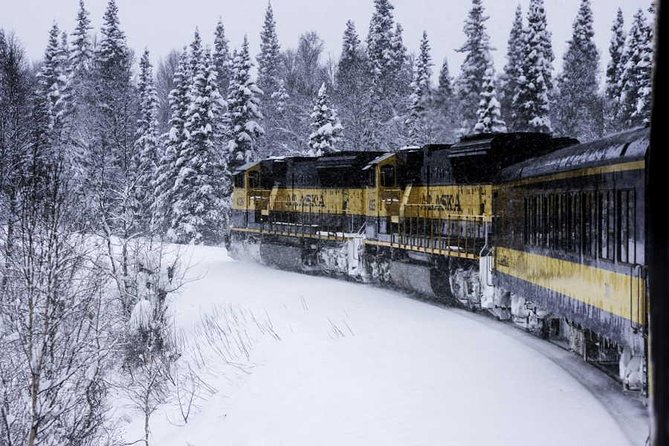 Alaska Railroad Aurora Winter Fairbanks to Anchorage One Way - Wildlife Sightings
