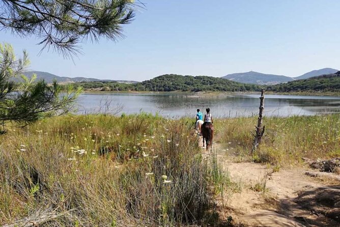 Alghero: Guided Horseback Ride at Lake Baratz & Porto Ferro - Highlights From Reviews