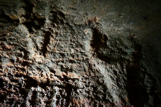 Alghero: Private Archaeological Tour (Transfer Included) With Local Guide - Exploring Nuraghe Palmavera
