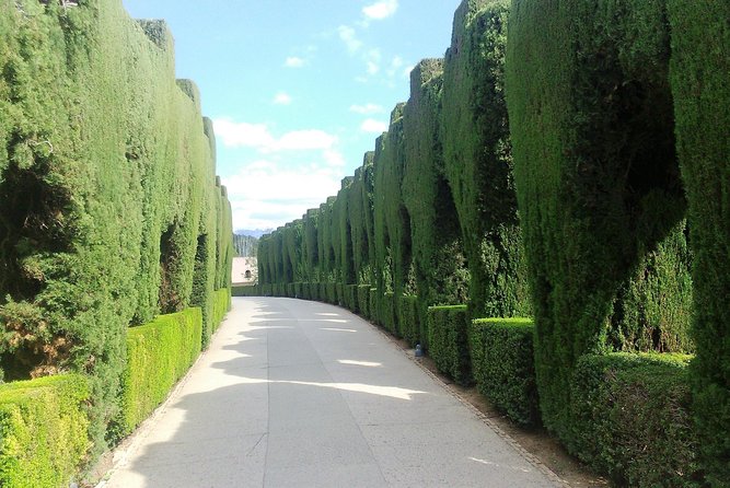 Alhambra Privilege ...a 5* Experience - Rave Reviews From Satisfied Customers