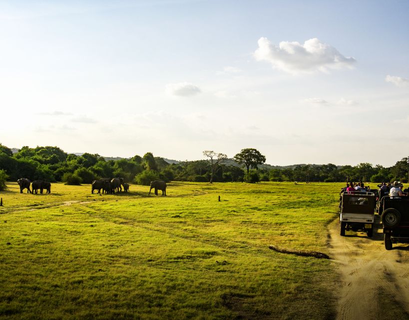 All-Inclusive Habarana Hurulu Eco Park Privet Halfday Safari - Pickup and Drop-off Locations