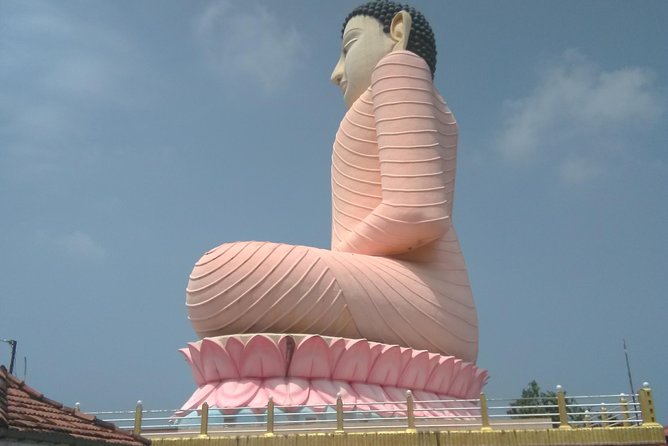 All Inclusive Private Day Trip to Southern Srilanka Galle, Bentota - Accessibility Features