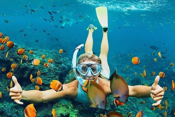 All Ticket Inclusive : Bloo Lagoon Snorkeling With Tegalalang Jungle Swing - Pricing Details