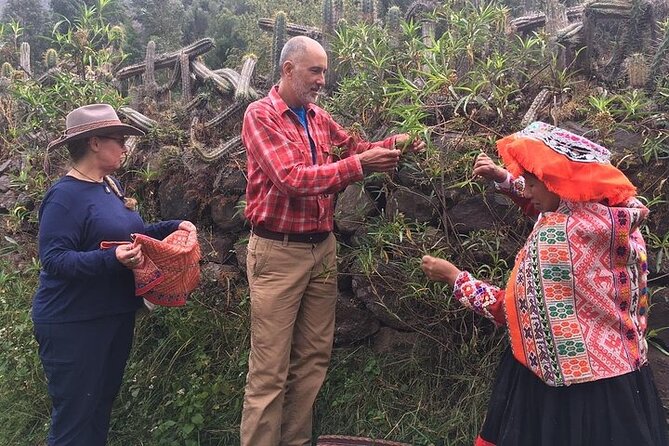 Alpaca Walk & Natural Dye Tour: A Memorable Full Day Experience - Accessibility and Fitness Requirements