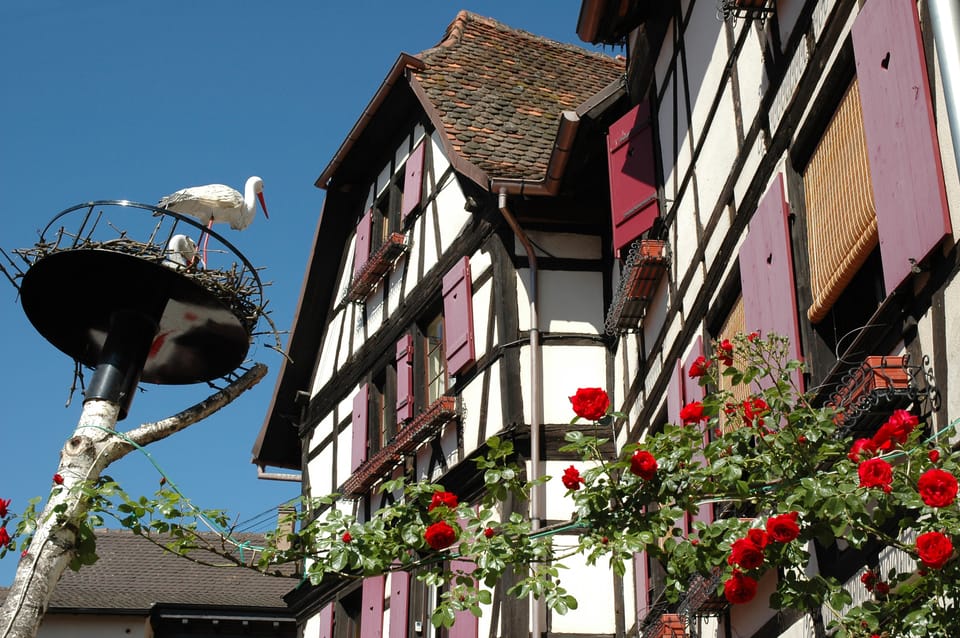 Alsace Half-Day Wine Tour From Strasbourg - Important Information