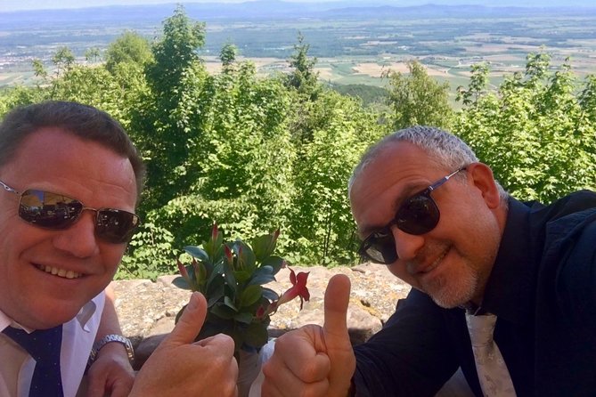 Alsace Private Tailored Tour in a Tesla With a Local - Traveler Experiences and Highlights