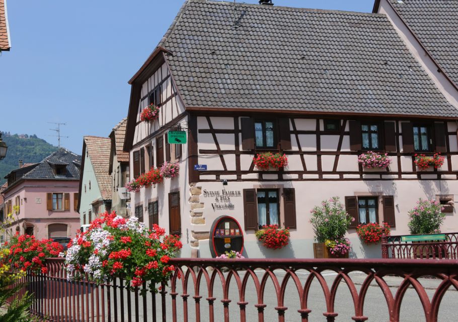 Alsace: Winery Tour and Alsatian Wine Tasting - Reservation and Cancellation Policy