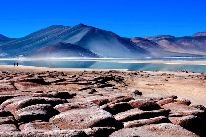 Altiplanic Lagoons and Piedras Rojas - Park Ticket Exclusions