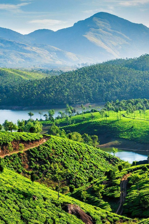 Amazing Munnar Alleppey Tour 4D/3N - Munnar Sightseeing