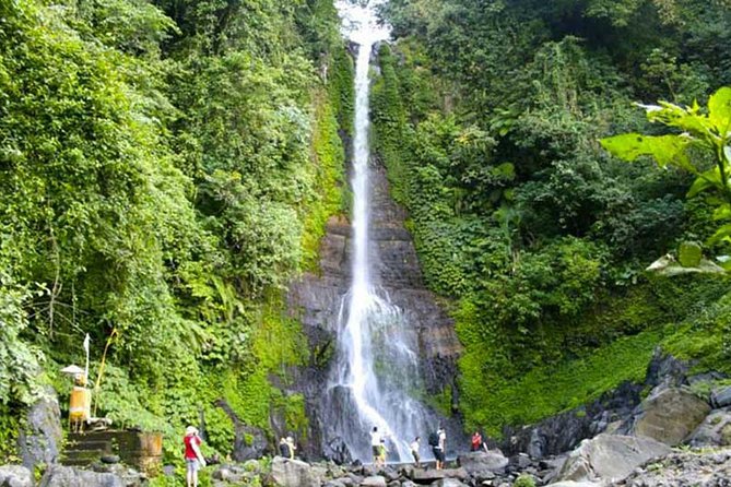 Amazing Private Tours: Dolphins Lovina and Gitgit Waterfall Include Lunch - Lunch and Local Cuisine