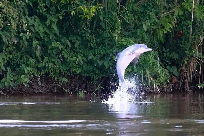 Amazon Wildlife Excursions 2/ Days /1 Night 280 Usd - Cancellation Policy