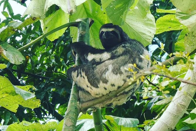 Amazon Wildlife Explorations 3 Days 2 Night - Meeting and Start Details