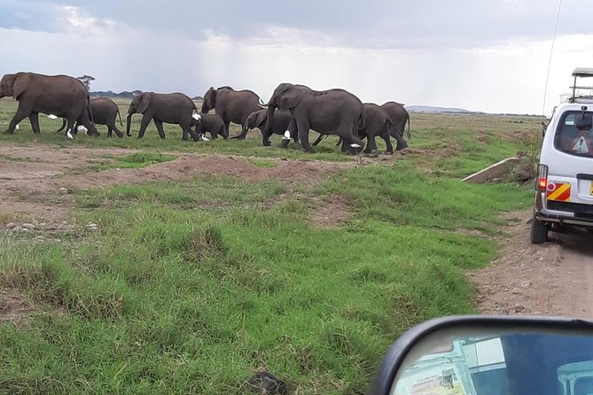 Amboseli National Park Guided Full Day Tour - Meeting and Pickup Information
