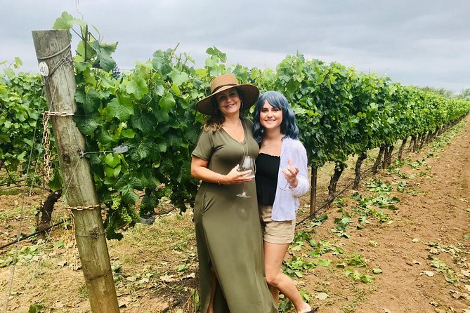 Amy & Rebas Day Drinking Wine Tours, Where Well Drive You to Drink - Included Amenities