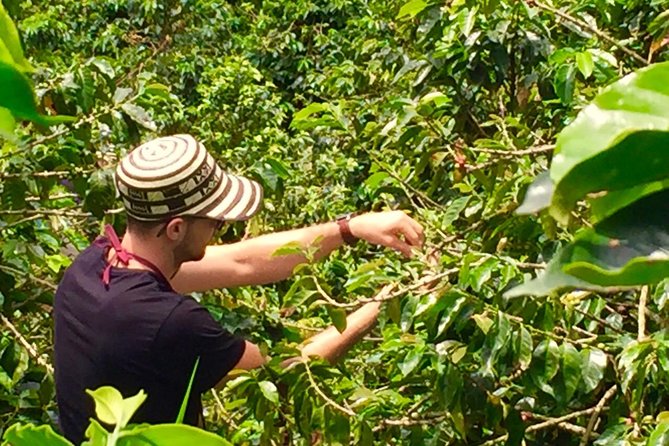 Angelópolis Coffee Tour - Coffee Preparation