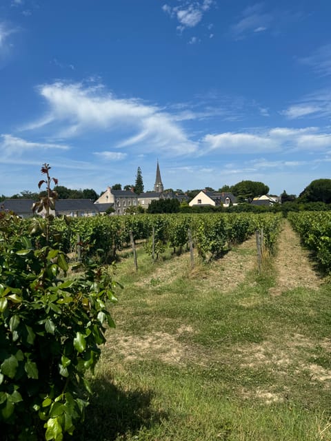 Angers: Ride on the Banks of the Loire in an Electric Tuk Tuk - Inclusions in the Tour