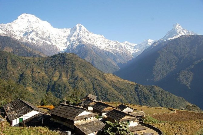 Annapurna Ghorepani Poon Hill Trek From Pokhara Short and Easy Hike in Himalaya - Traveler Reviews