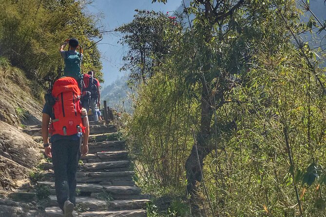 Annapurna Sanctuary Trek ( 11 Days) - Exclusions to Consider
