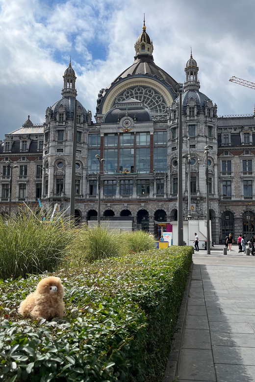 Antwerp Walking and Tasting Tour - Tour Inclusions