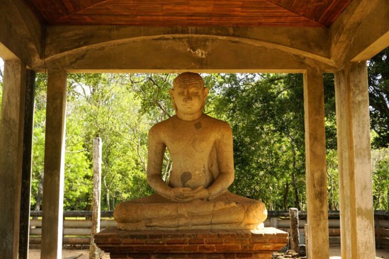 Anuradhapura Private Ancient City Day Tour - Languages and Group Size