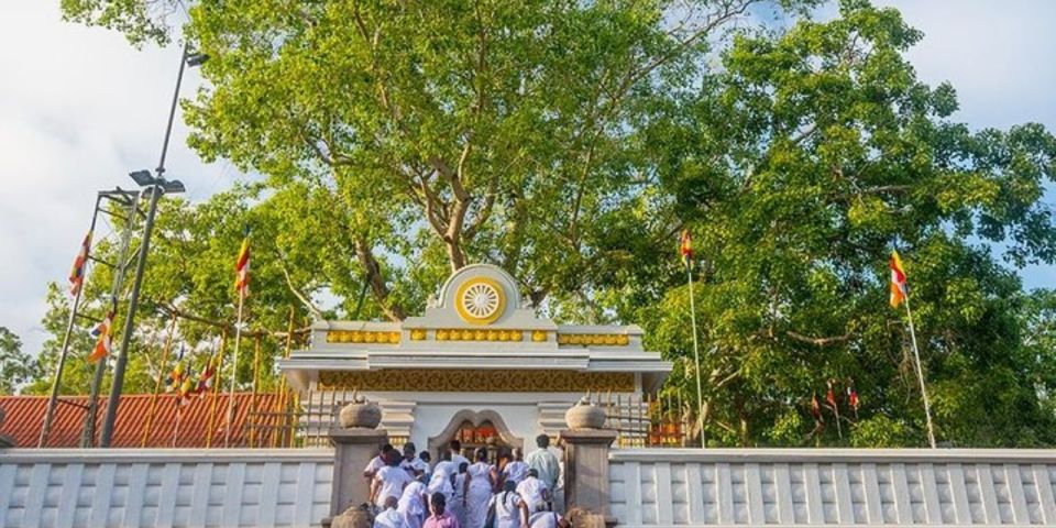 Anuradhapura Unveiled: Exclusive Private Day Tour - Avukana Buddha Statue