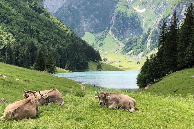Appenzell, Laderach, Liechtenstein & Vaduz Day Trip From Zürich - Day Trip Pricing