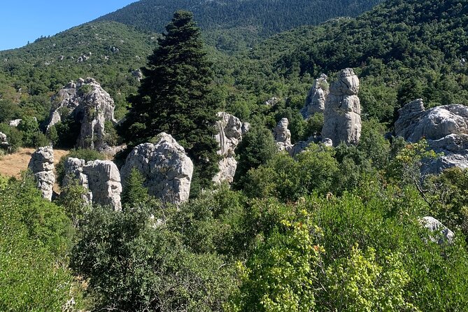 Arcadia Experience, Nature, People and Culture - Verified Reviews