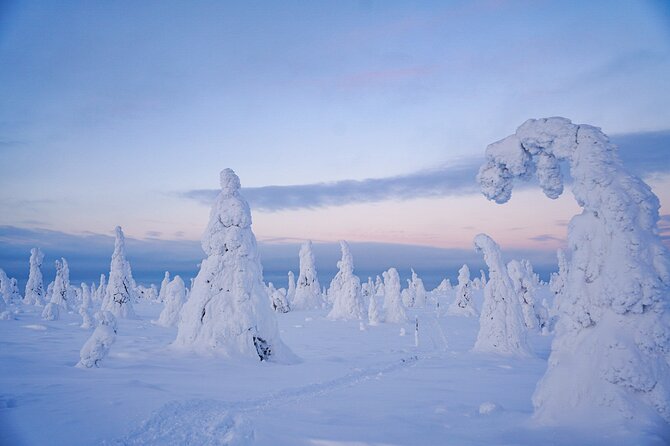 Arctic Adventure Through Magical Frozen Forests of Riisitunturi - Enjoying Campfire Delights