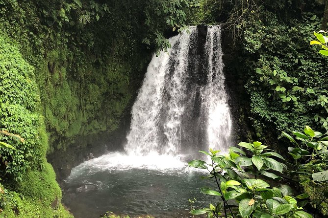 Arenal Observatory Hike + Hot Springs - Wildlife Spotting Along the Way
