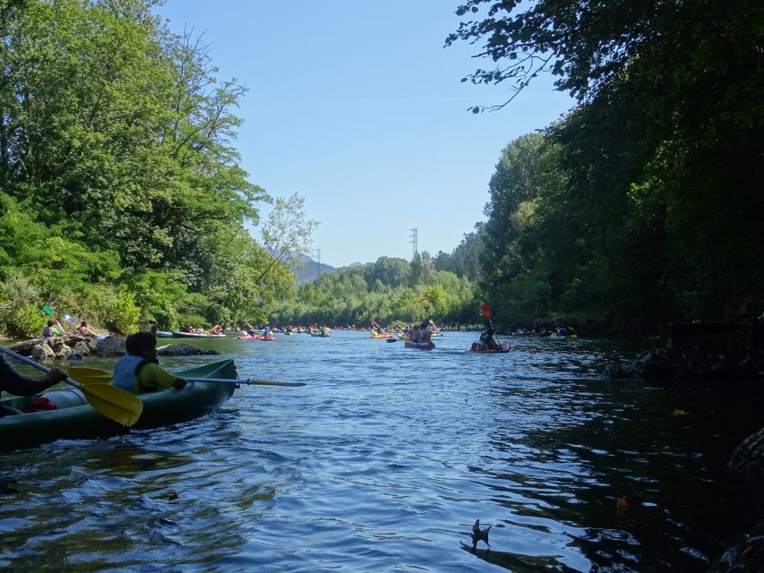 Arriondas: Canoeing Adventure Descent on the Sella River - Highlights and Features