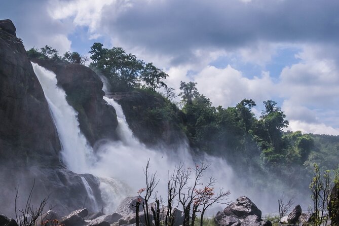 Athirapally Waterfalls From Cochin - Customer Reviews and Experiences