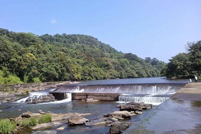 Athirappally & Vazhachal Waterfall Tour With Lunch - Whats Included in the Tour