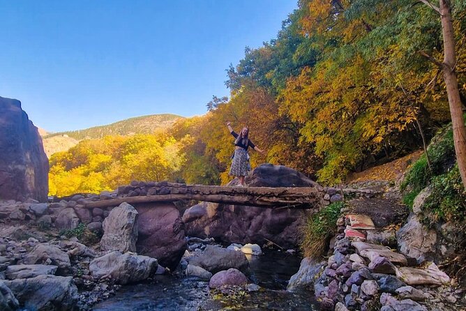 Atlas Mountains & Berber Villages& Cultuer Waterfalls Day Trip - Cultural Experiences