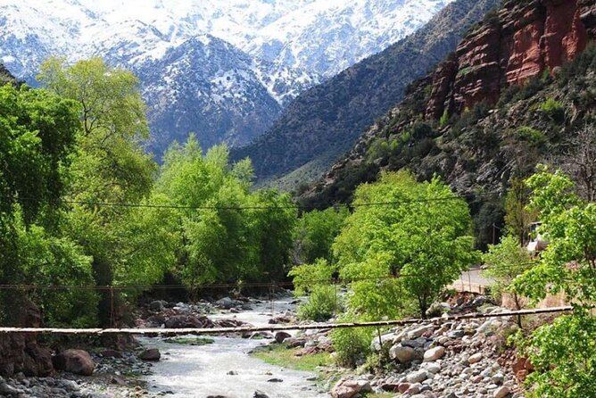 Atlas Mountains & Ourika Valley Private Day Trip From Marrakech - Activities During the Trip