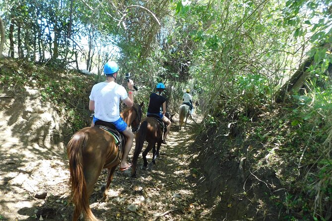 ATV and Horse Riding in Puerto Plata / Shore Excursion & Hotel - Accessibility and Transportation