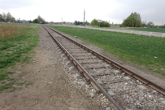 Auschwitz-Birkenau Museum Half-Day Bus Tour From Krakow - Guided Tour Highlights