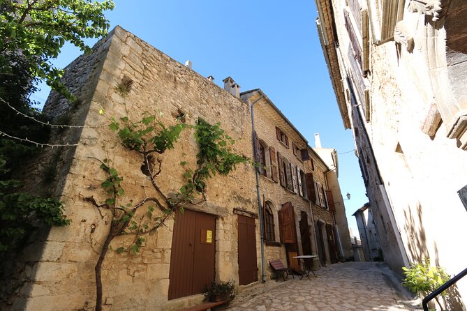 Avignon Palace of the Popes, Food Market & Isle Sur La Sorgue - Culinary Delights at the Market