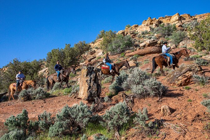 Aztec Trail Horseback Ride - Traveler Reviews and Feedback