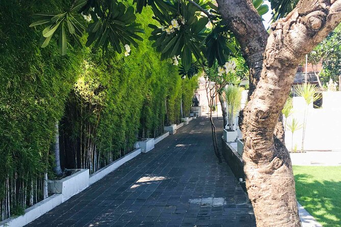 Backlanes and Hidden Sites: A Self-Guided Audio Tour in Seminyak - Highlights of the Journey