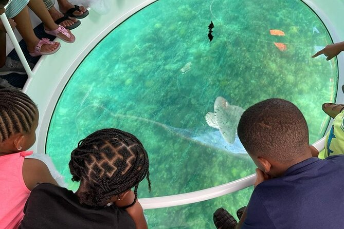 Bahamas on a Semi Submersive Glass Bottom Boat - Booking Information