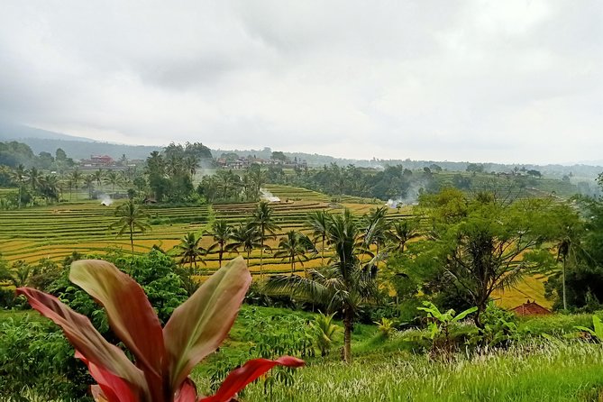 Bali Car Charter English Speaking Driver for 2 Days - Accessibility and Travel Considerations