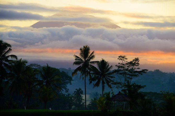 Bali Half Day Photography Tour - Participant Requirements