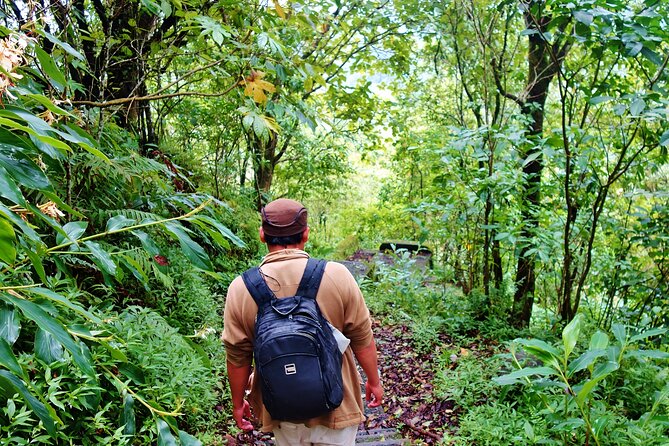 Bali Jungle Trekking in Beautiful Rainforest - Booking and Cancellation Policy
