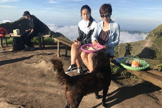 Bali Mount Batur Sunrise Trekking Tour - Customer Reviews and Feedback
